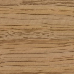 3213 P Севильская олива светлая