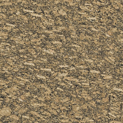 f746c17efab928524145c7be0b4fd072