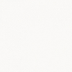 1100 6 Белый ледяной