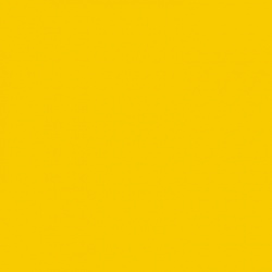 2721 Ярко-желтый