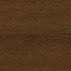 3833 6 Акация янтарная